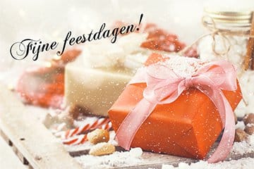 Fijne feestdagen van Team De Koningh! cover